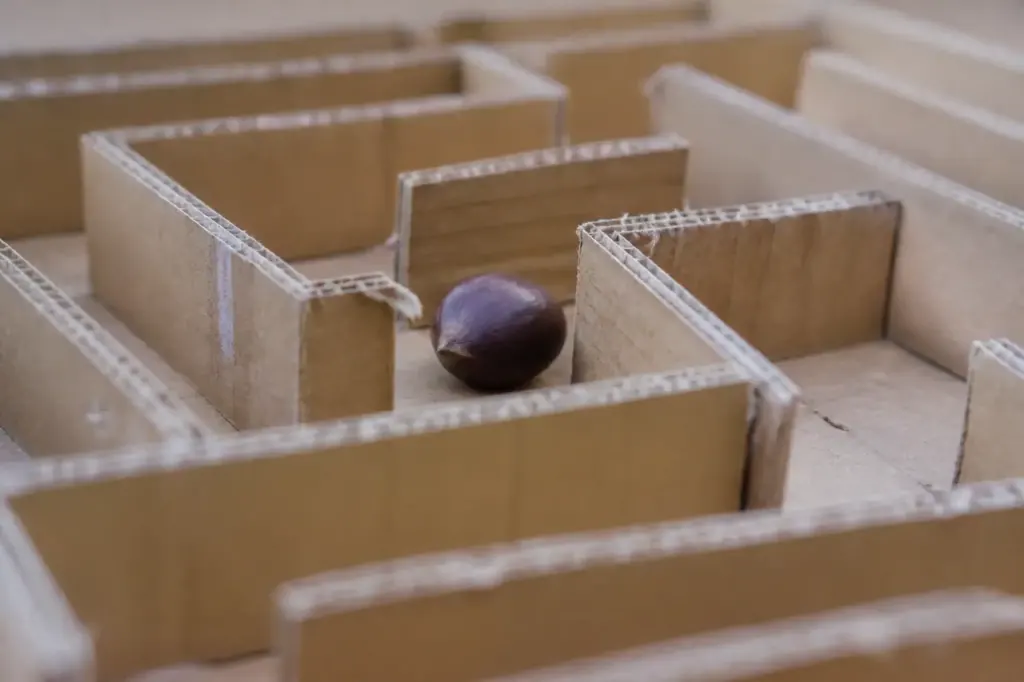 Marron roulant dans un labyrinthe en carton
